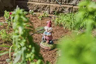 10931 Sequoia Ave, Felton, CA 95018 - Photo 38