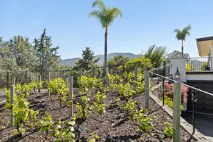 15715 Gum Tree Ln, Los Gatos, CA 95032 - Photo 136