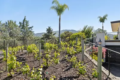 15715 Gum Tree Ln, Los Gatos, CA 95032 - Photo 138