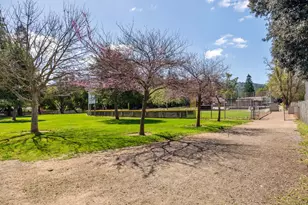 15715 Gum Tree Ln, Los Gatos, CA 95032 - Photo 154