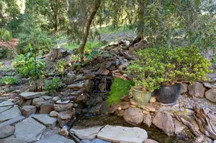 101 Endlich Dr, Santa Cruz, CA 95060 - Photo 38