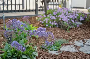 14990 Winchester Blvd, Los Gatos, CA 95030 - Photo 82