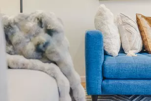 4010 Williams Rd 4, San Jose, CA 95117 - Photo 8