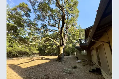 46 Morse Ln, Redwood City, CA 94062 - Photo 38