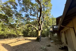 46 Morse Ln, Redwood City, CA 94062 - Photo 38