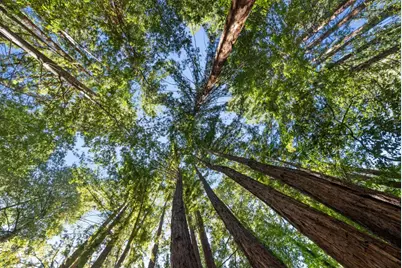 26650 Soquel San Jose Rd, Los Gatos, CA 95033 - Photo 54