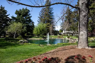 71 Bay Tree Ln, Los Altos, CA 94022 - Photo 32