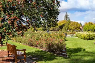 1481 W Hedding St, San Jose, CA 95126 - Photo 74