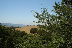 11571 Buena Vista Dr, Los Altos Hills, CA 94022 - Photo 82