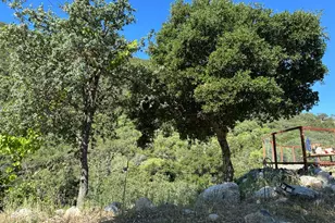 45100 Carmel Valley Rd, Greenfield, CA 93927 - Photo 92