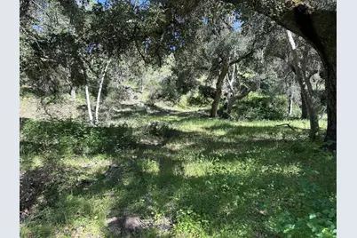 45100 Carmel Valley Rd, Greenfield, CA 93927 - Photo 42