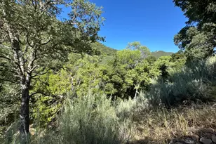 45100 Carmel Valley Rd, Greenfield, CA 93927 - Photo 74