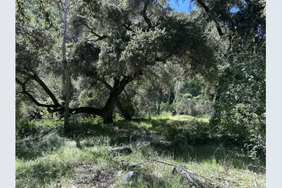 45100 Carmel Valley Rd, Greenfield, CA 93927 - Photo 34
