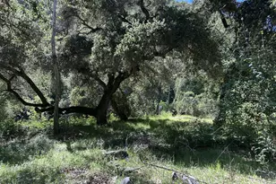 45100 Carmel Valley Rd, Greenfield, CA 93927 - Photo 34