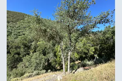 45100 Carmel Valley Rd, Greenfield, CA 93927 - Photo 76