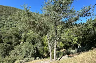 45100 Carmel Valley Rd, Greenfield, CA 93927 - Photo 76