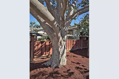 1582 Petal Way, San Jose, CA 95129 - Photo 28