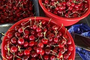 3465 Susie Ln, Gilroy, CA 95020 - Photo 4