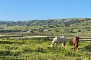 3465 Susie Ln, Gilroy, CA 95020 - Photo 2