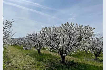 3465 Susie Ln, Gilroy, CA 95020 - Photo 6