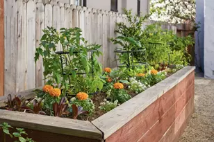 2105 Hillside Dr, Burlingame, CA 94010 - Photo 86