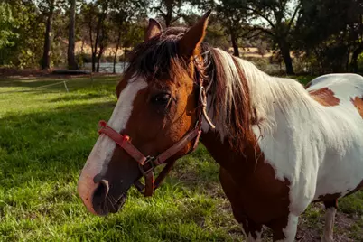 7555 Merced Falls Rd, Snelling, CA 95369 - Photo 22