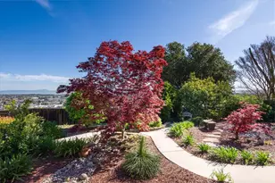 819 Holly Rd, Belmont, CA 94002 - Photo 58