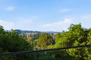 291 W 39th Ave, San Mateo, CA 94403 - Photo 62