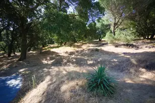 1296 Conference Dr, Scotts Valley, CA 95066 - Photo 14