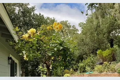 25349 Flanders Dr, Carmel, CA 93923 - Photo 36