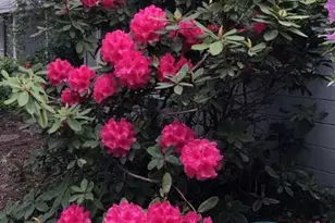 25349 Flanders Dr, Carmel, CA 93923 - Photo 38