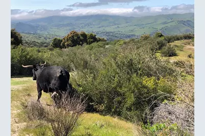 36000 E Carmel Valley, Carmel Valley, CA 93924 - Photo 28