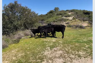 36000 E Carmel Valley, Carmel Valley, CA 93924 - Photo 26