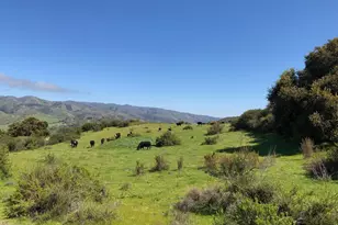Indian Creek Ranch 36000 Carmel Valley Rd, Carmel Valley, CA 93924 - Photo 1