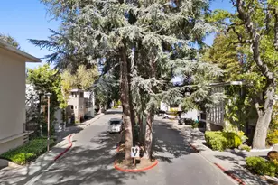 138 Stone Pine Ln, Menlo Park, CA 94025 - Photo 56