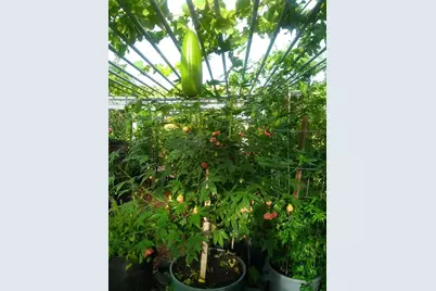 2517 Jayden Way, Stockton, CA 95212 - Photo 14