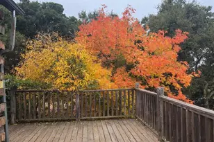 4101 San Juan Canyon Rd, San Juan Bautista, CA 95045 - Photo 6