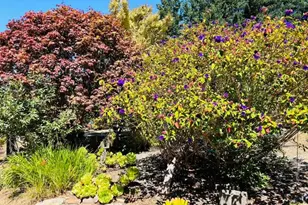 520 Redwood Rd, Whitethorn, CA 95589 - Photo 10