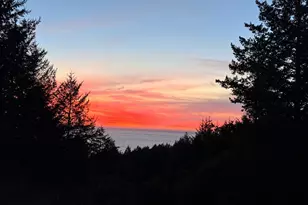 520 Redwood Rd, Whitethorn, CA 95589 - Photo 2