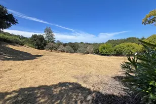 309 Olive Hill Ln, Woodside, CA 94062 - Photo 22