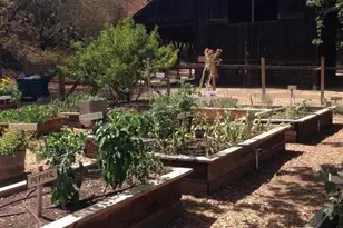 7577 Bollinger Rd, Cupertino, CA 95014 - Photo 56