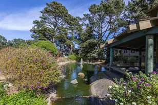 381 Half Moon Ln 209, Daly City, CA 94015 - Photo 30