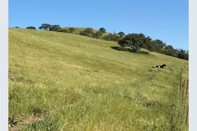 0 Airline Hwy, Tres Pinos, CA 95075 - Photo 24