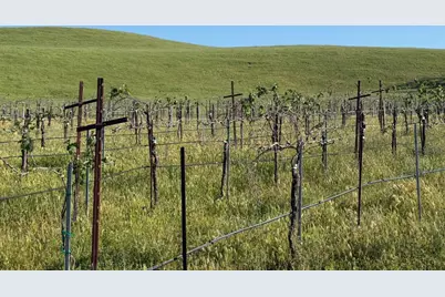 0 Airline Hwy, Tres Pinos, CA 95075 - Photo 32