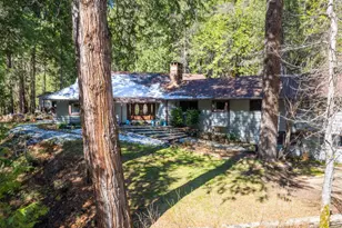 21791 Hwy 49, Downieville, CA 95936 - Photo 58