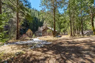 21791 Hwy 49, Downieville, CA 95936 - Photo 50