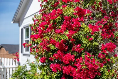 1 Serrano Way, Del Rey Oaks, CA 93940 - Photo 16