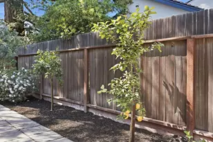 2518 South Ct, Palo Alto, CA 94301 - Photo 22