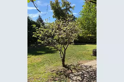 Suffolk Ct, Los Altos, CA 94024 - Photo 6