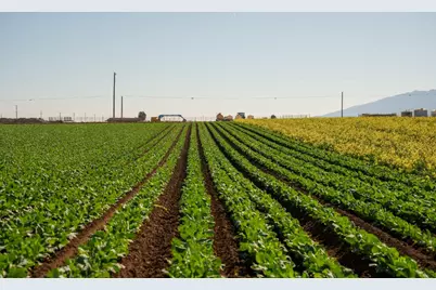 Somavia Rd, Salinas, CA 93908 - Photo 12